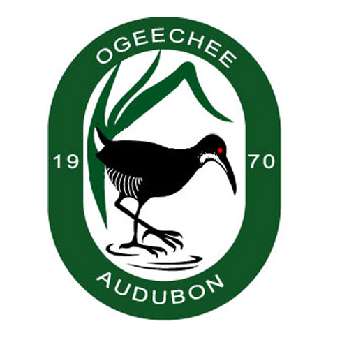 ogeechee.audubon